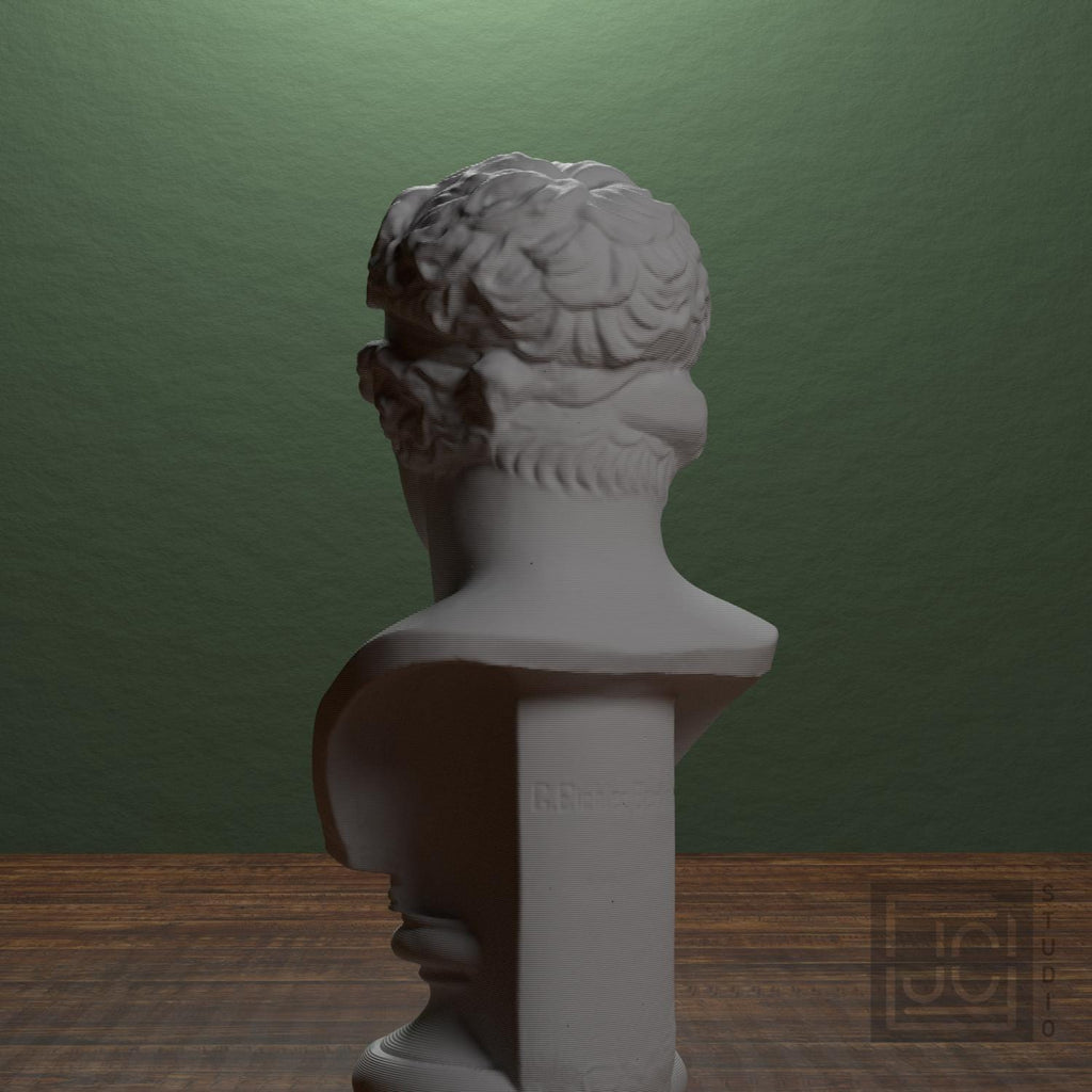 Bust of The Diadumenos type supplemental reference photo 3