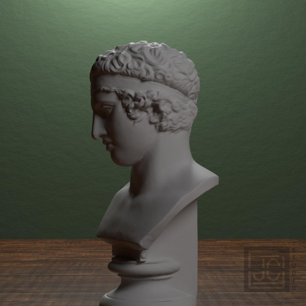 Bust of The Diadumenos type supplemental reference photo 4