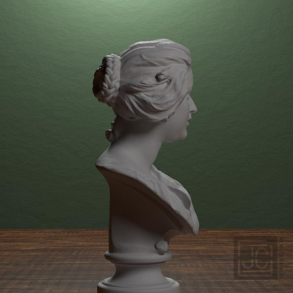 Bust of Costanza Bonarelli supplemental reference photo 2