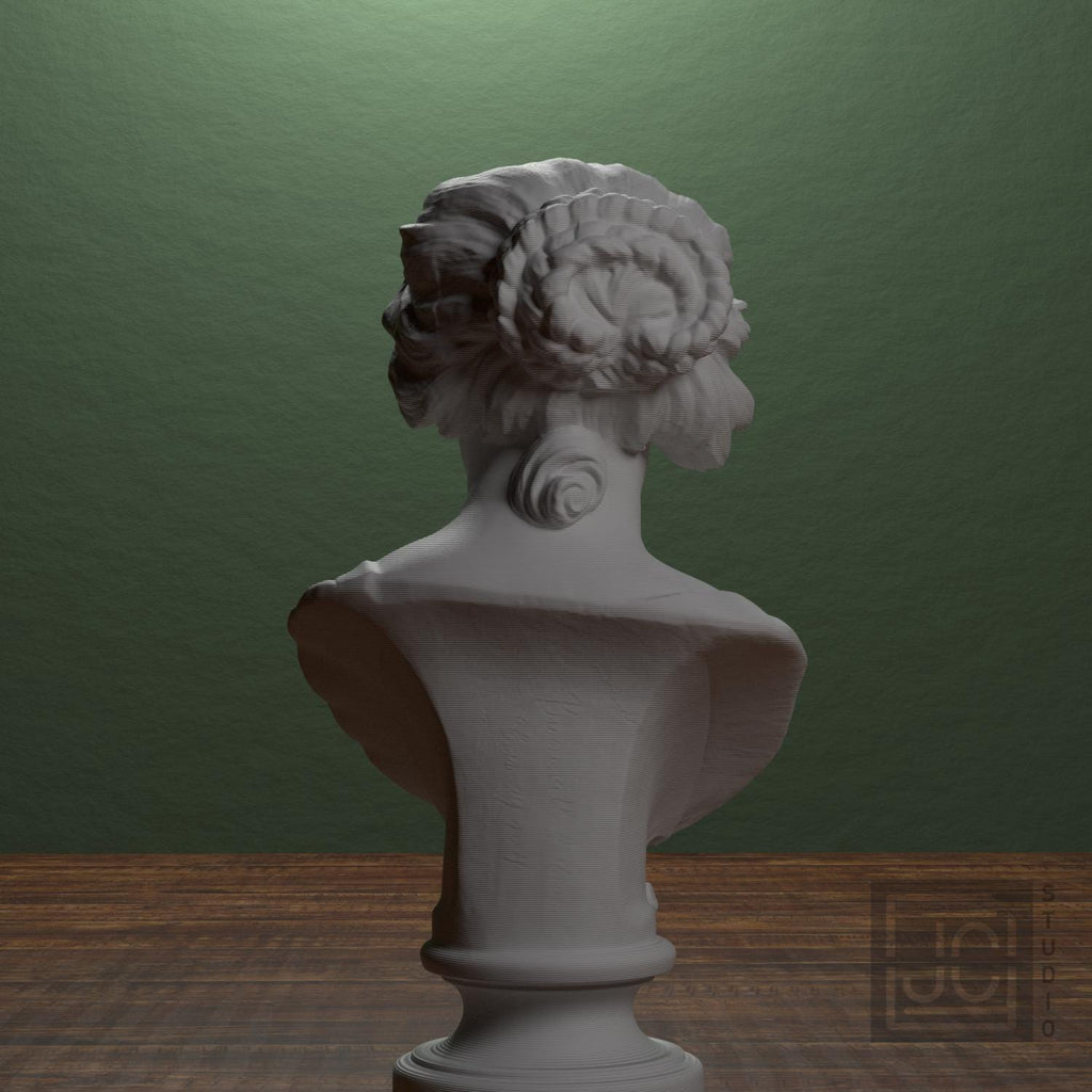 Bust of Costanza Bonarelli supplemental reference photo 3