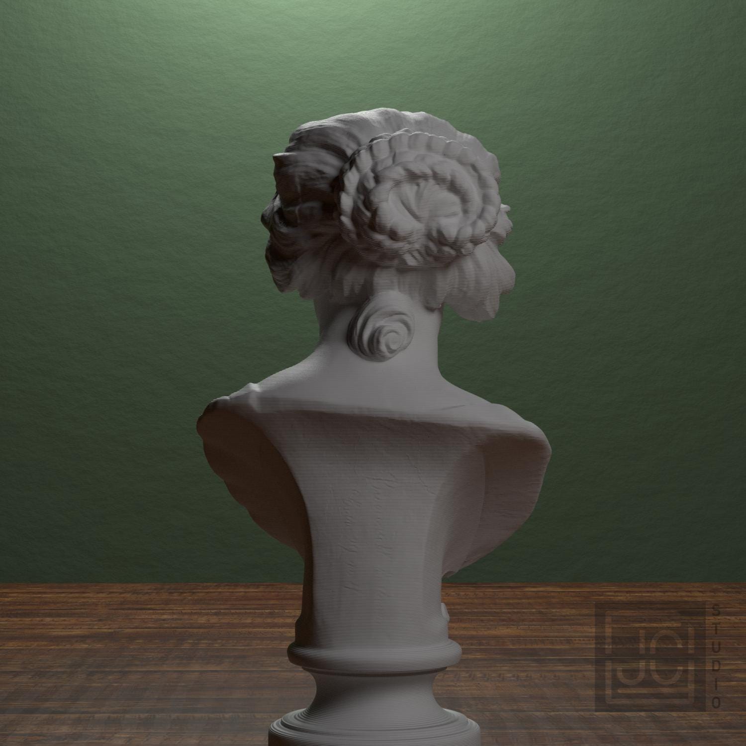 Bust of Costanza Bonarelli supplemental reference photo 3