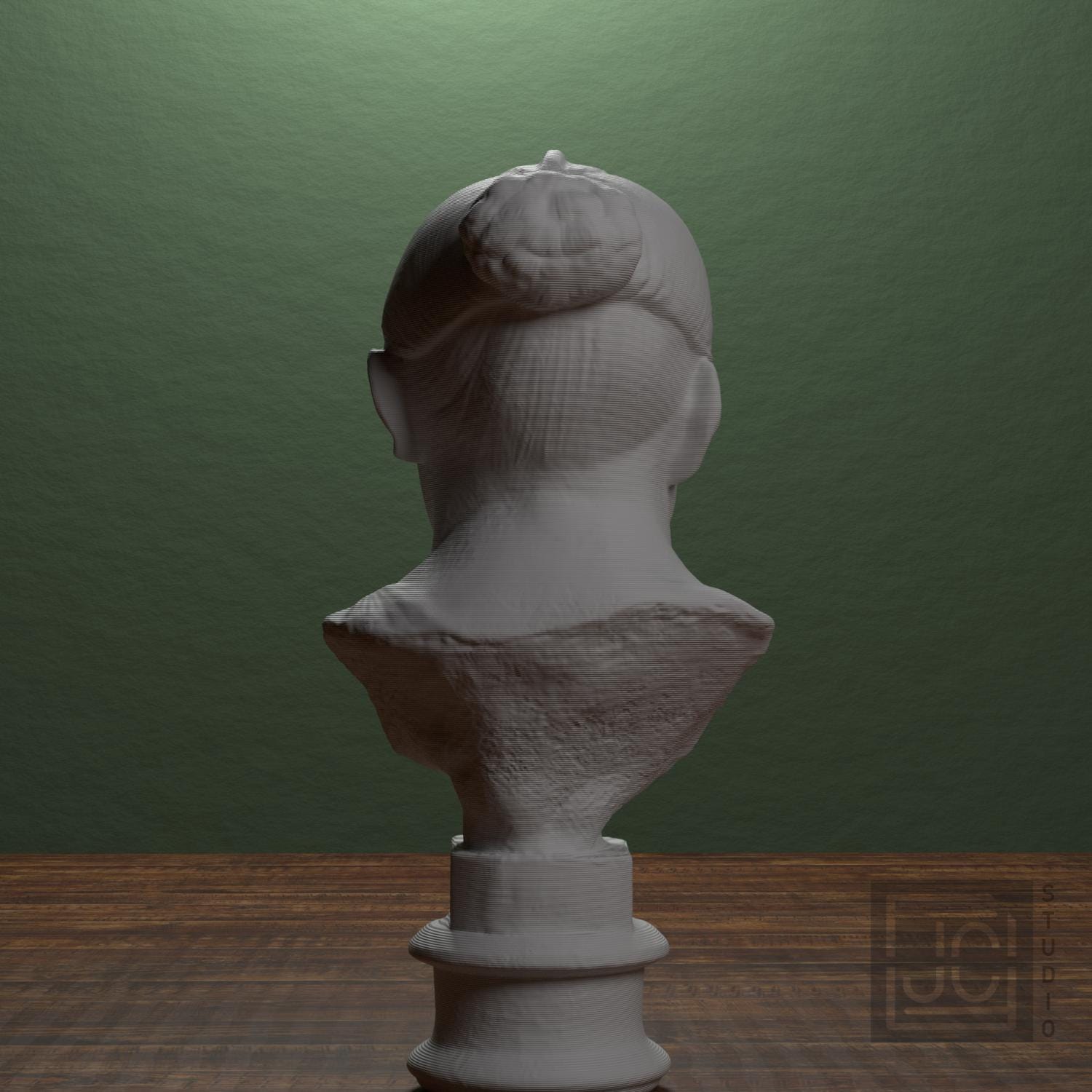Bust of an elderly Roman woman supplemental reference photo 3