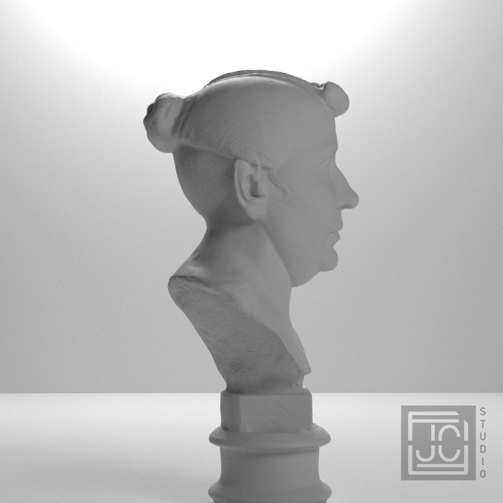 Bust of an elderly Roman woman supplemental reference photo 7