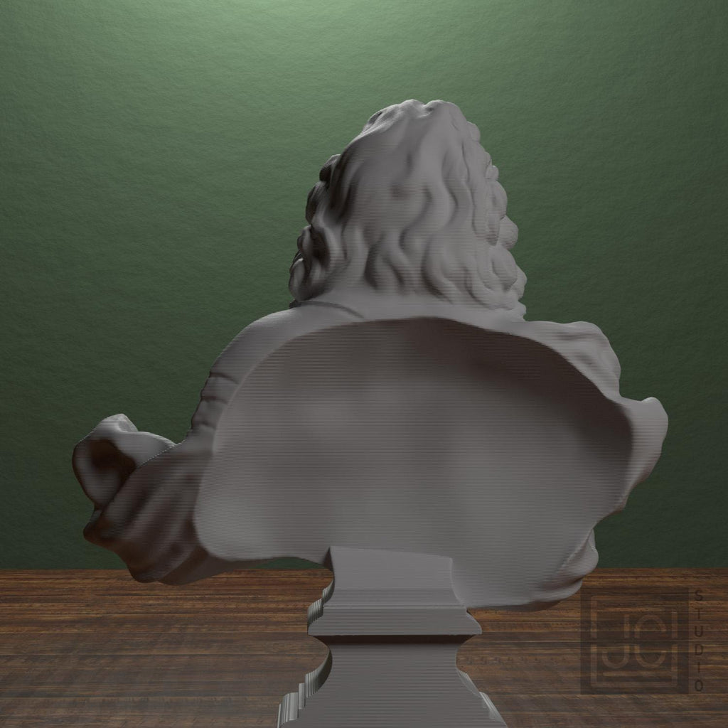 Louis XIV supplemental reference photo 3