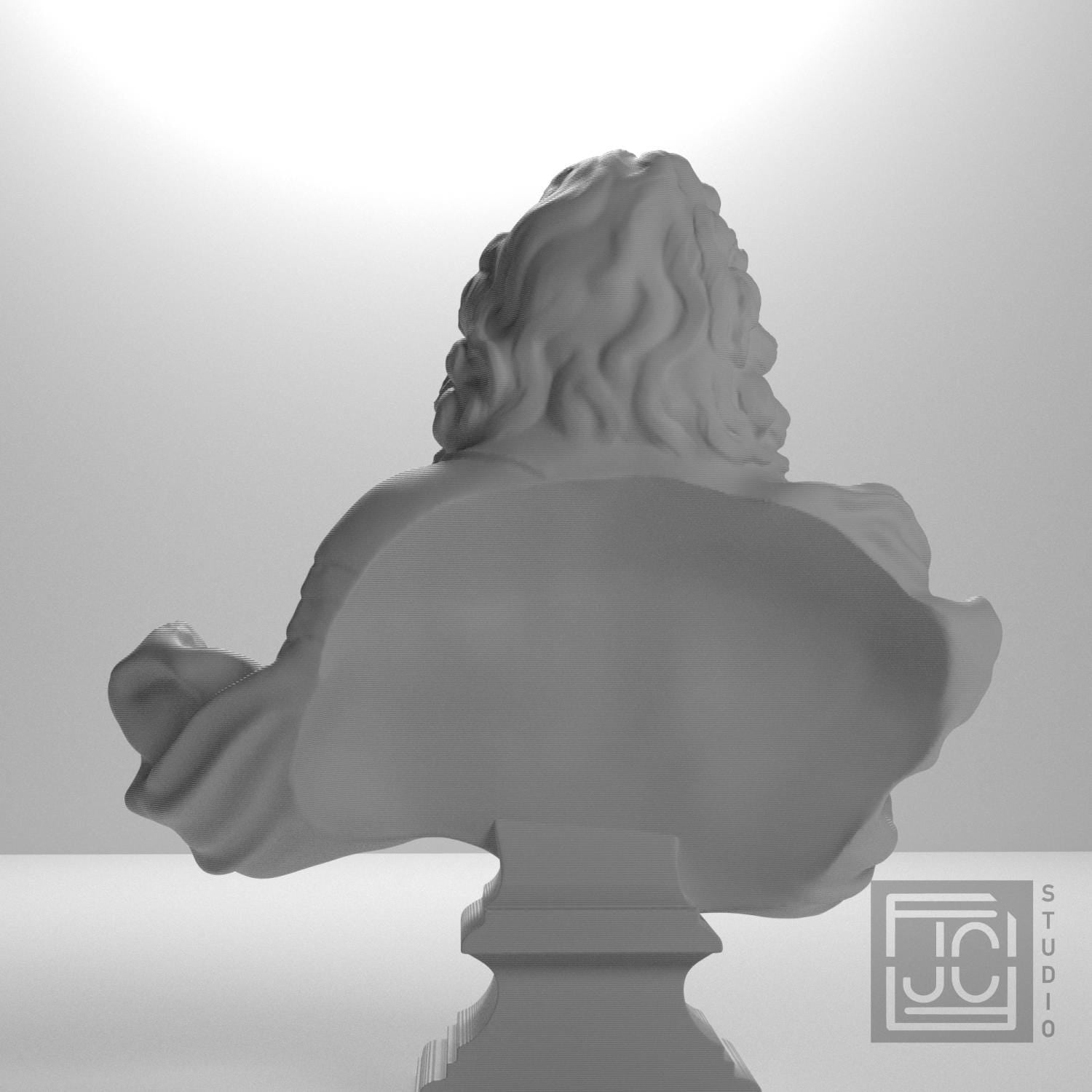 Louis XIV supplemental reference photo 9