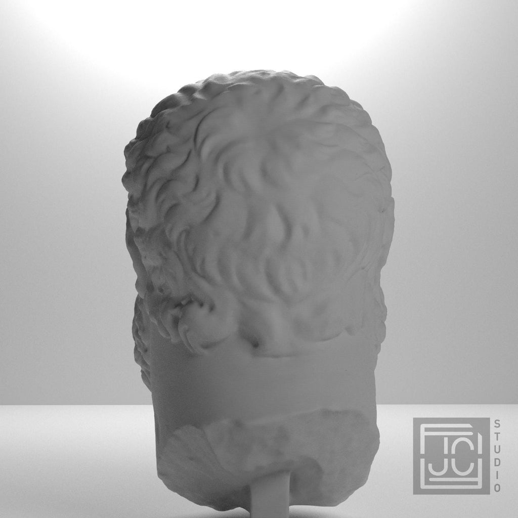 Head of Emperor Maximian supplemental reference photo 9
