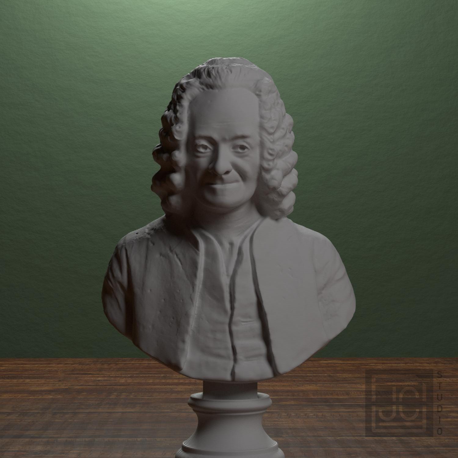 Voltaire supplemental reference photo 1