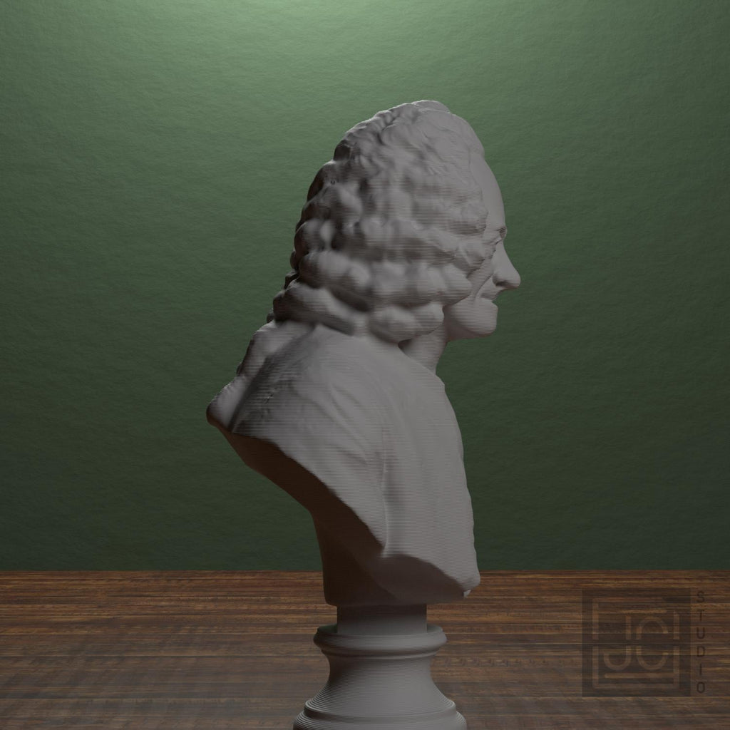 Voltaire supplemental reference photo 2