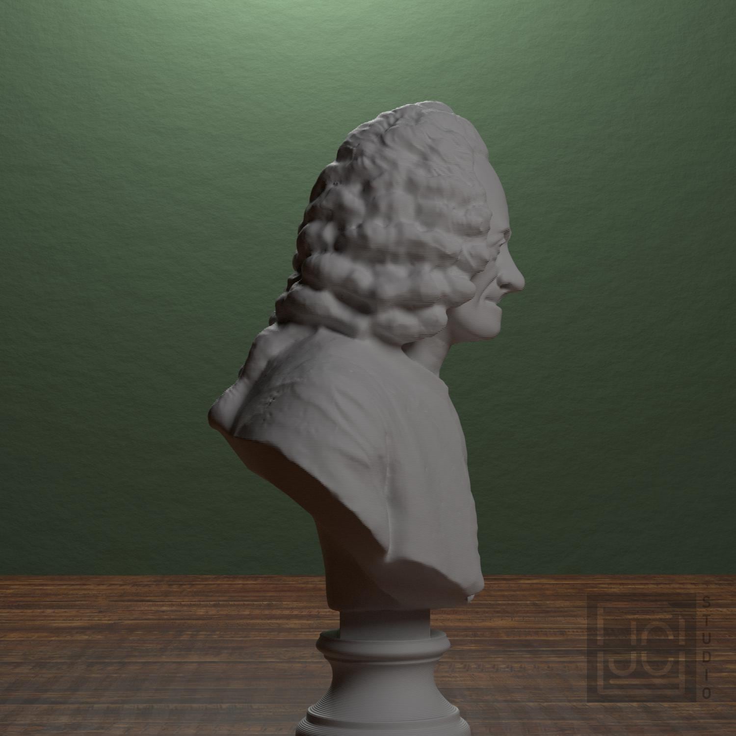 Voltaire supplemental reference photo 2