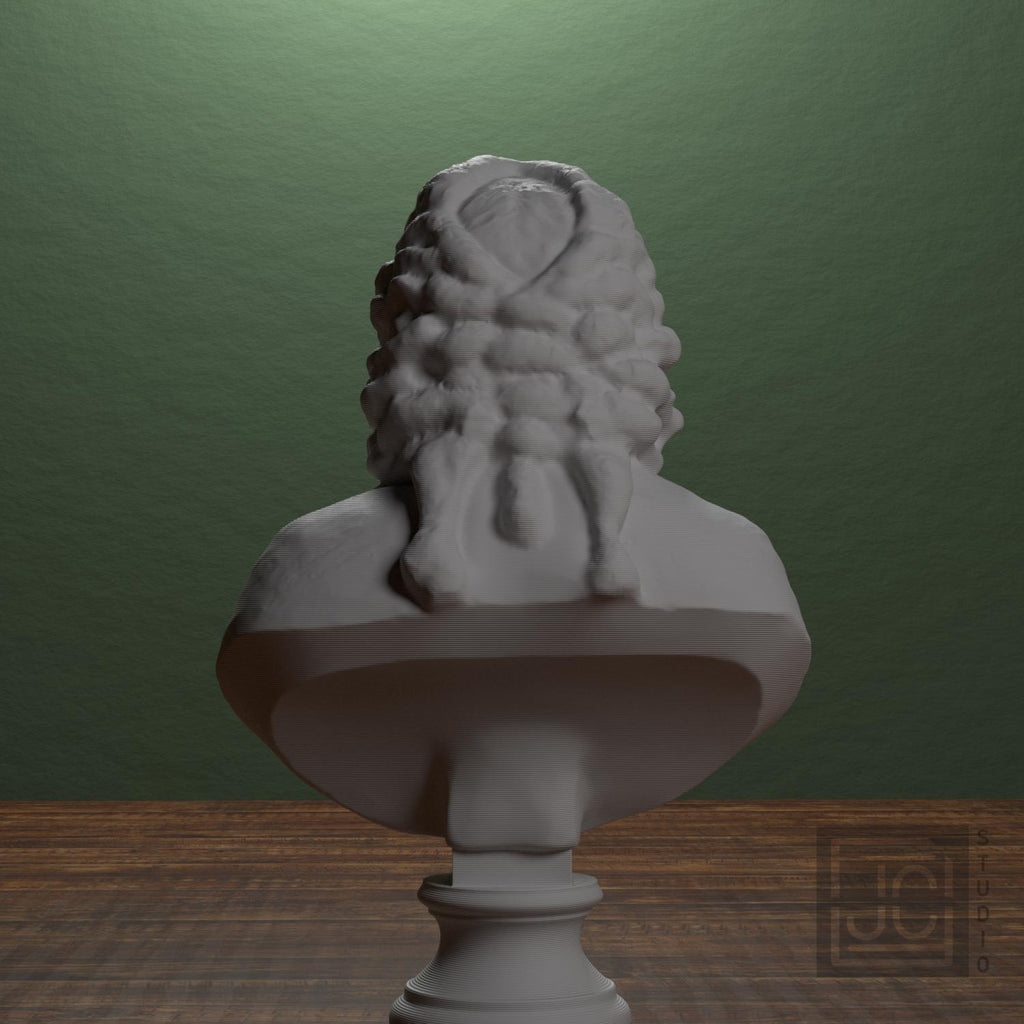 Voltaire supplemental reference photo 3