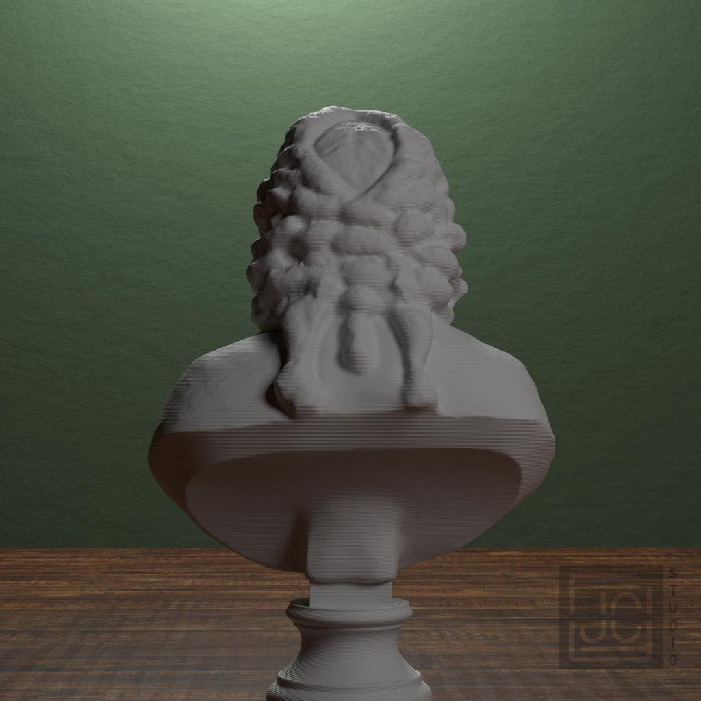 Voltaire supplemental reference photo 3