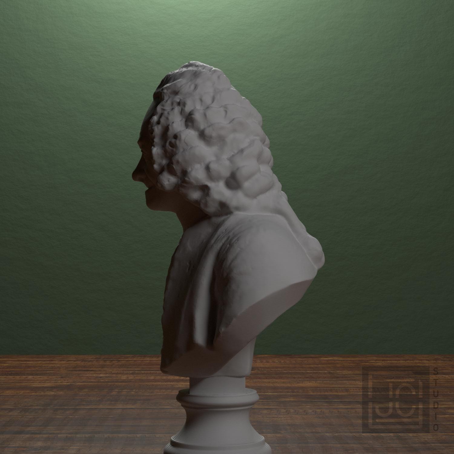 Voltaire supplemental reference photo 4