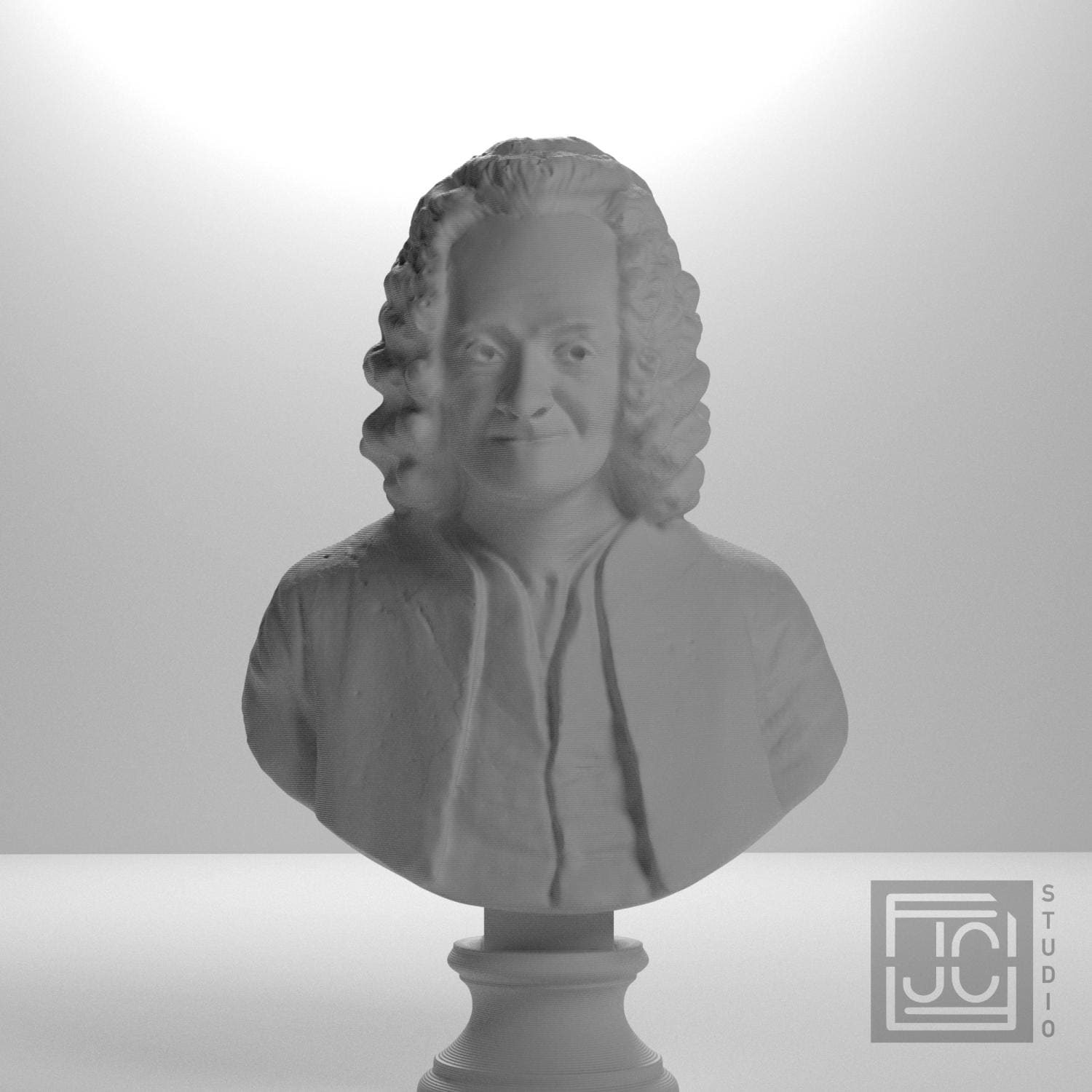 Voltaire supplemental reference photo 5