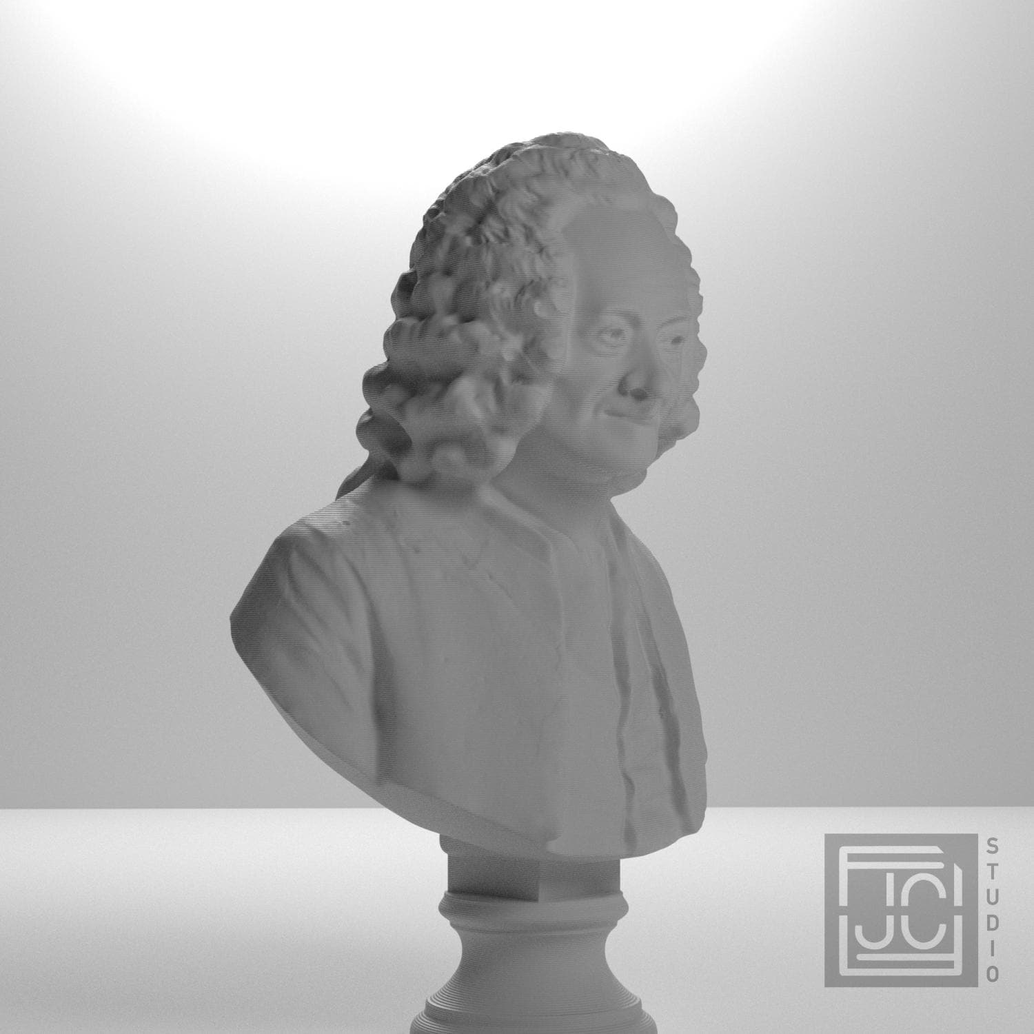 Voltaire supplemental reference photo 6