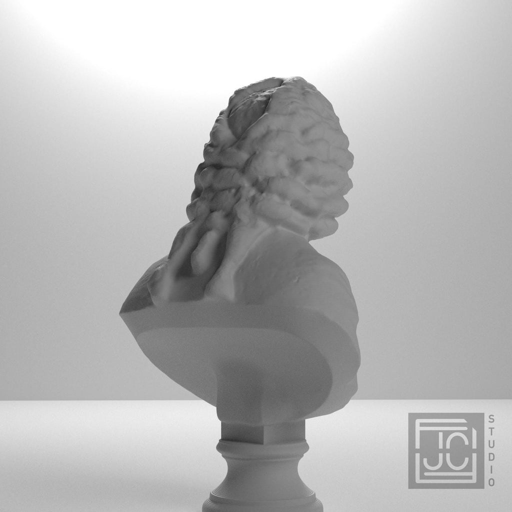 Voltaire supplemental reference photo 8