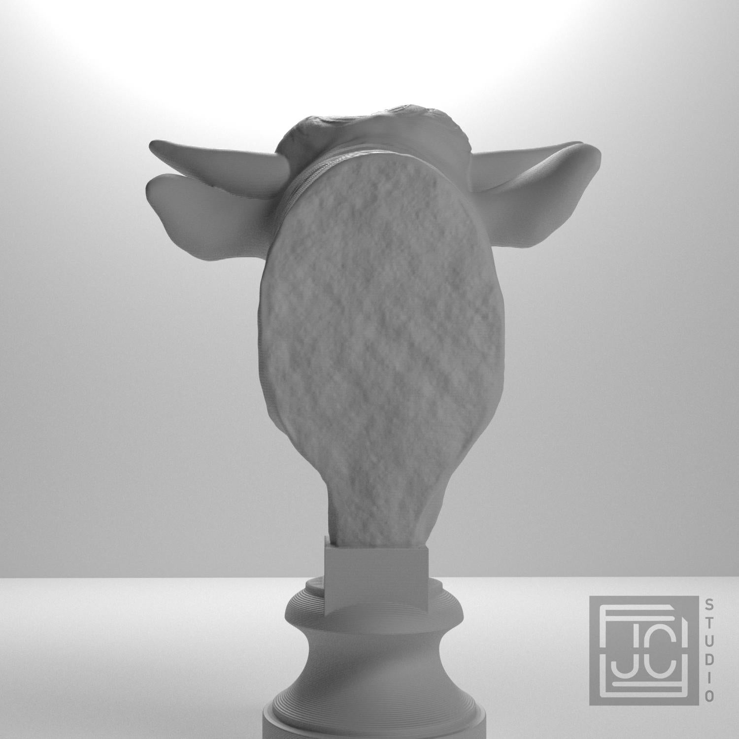 Head of a Bull supplemental reference photo 9