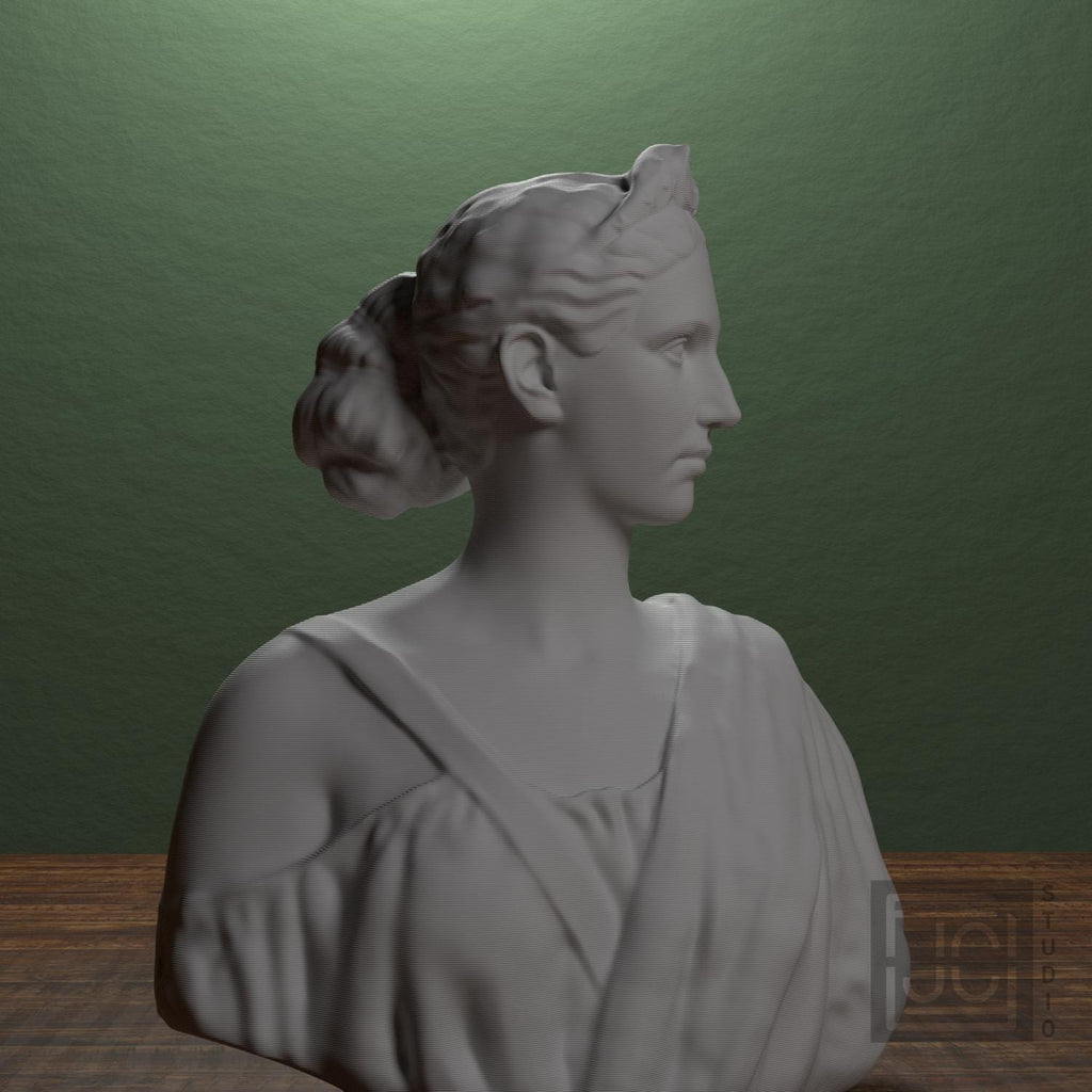 Diana supplemental reference photo 1
