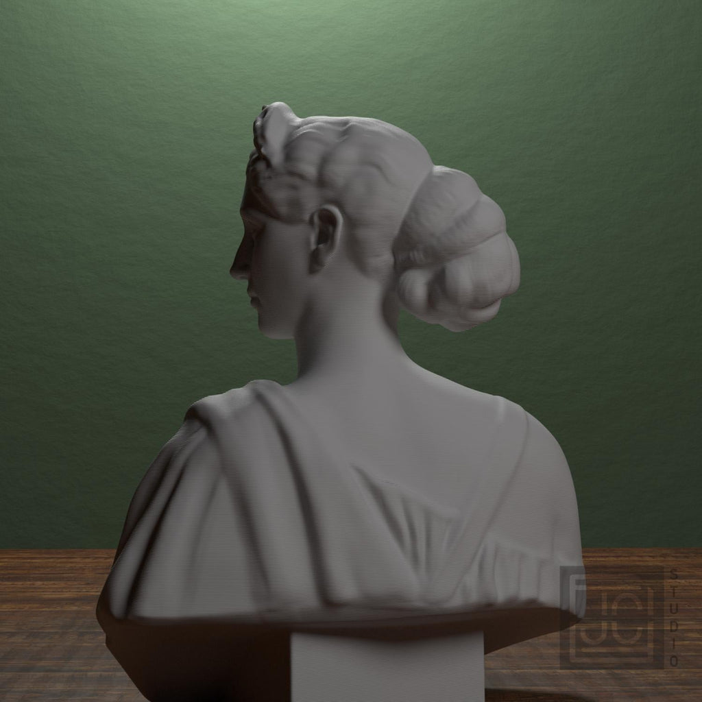Diana supplemental reference photo 3