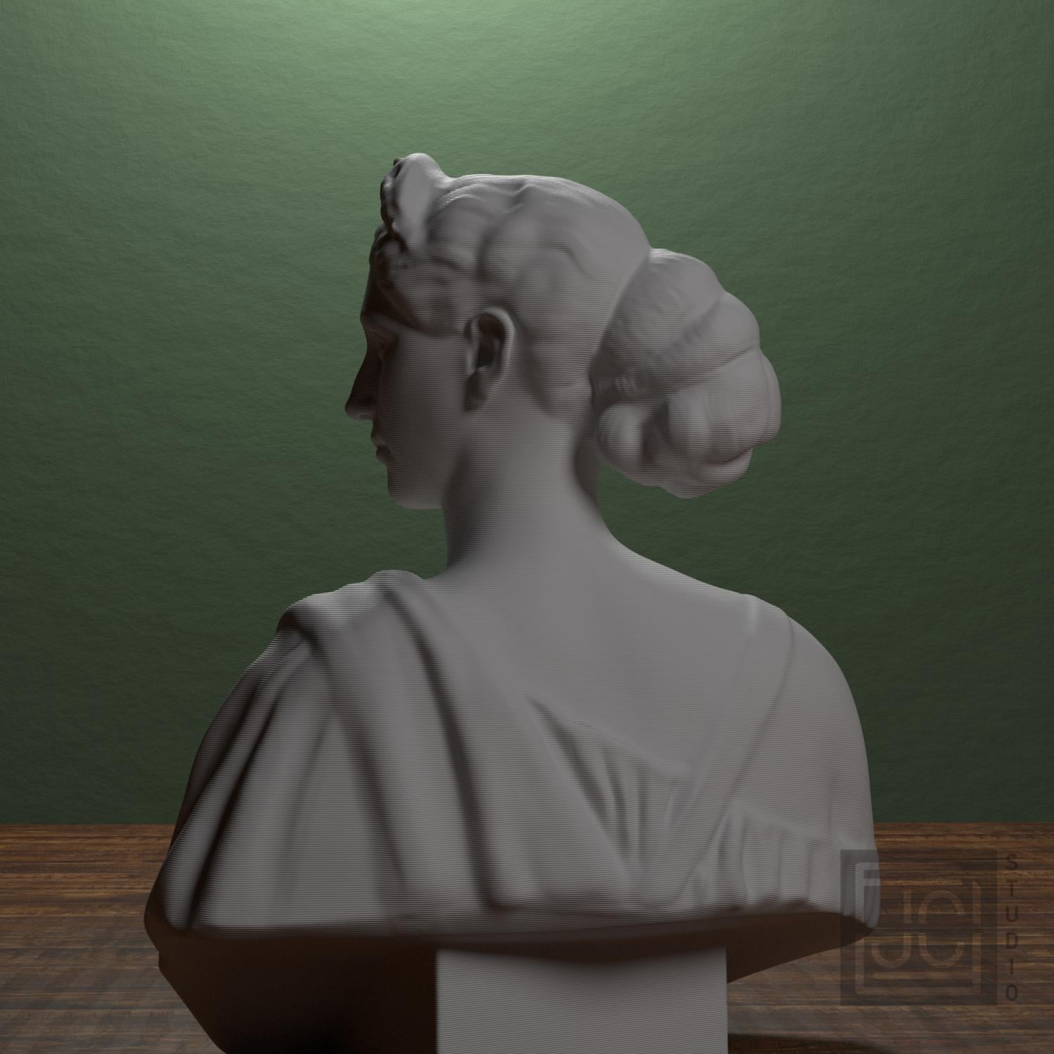 Diana supplemental reference photo 3