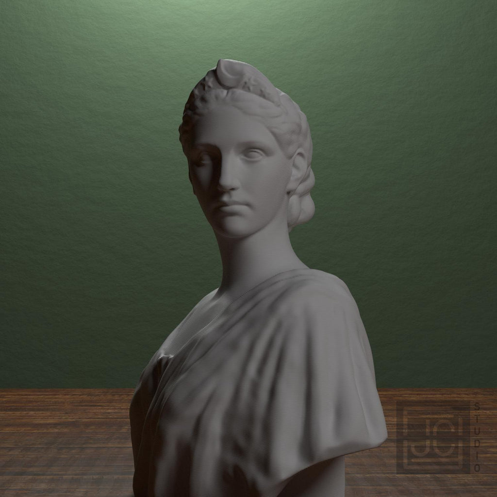 Diana supplemental reference photo 4