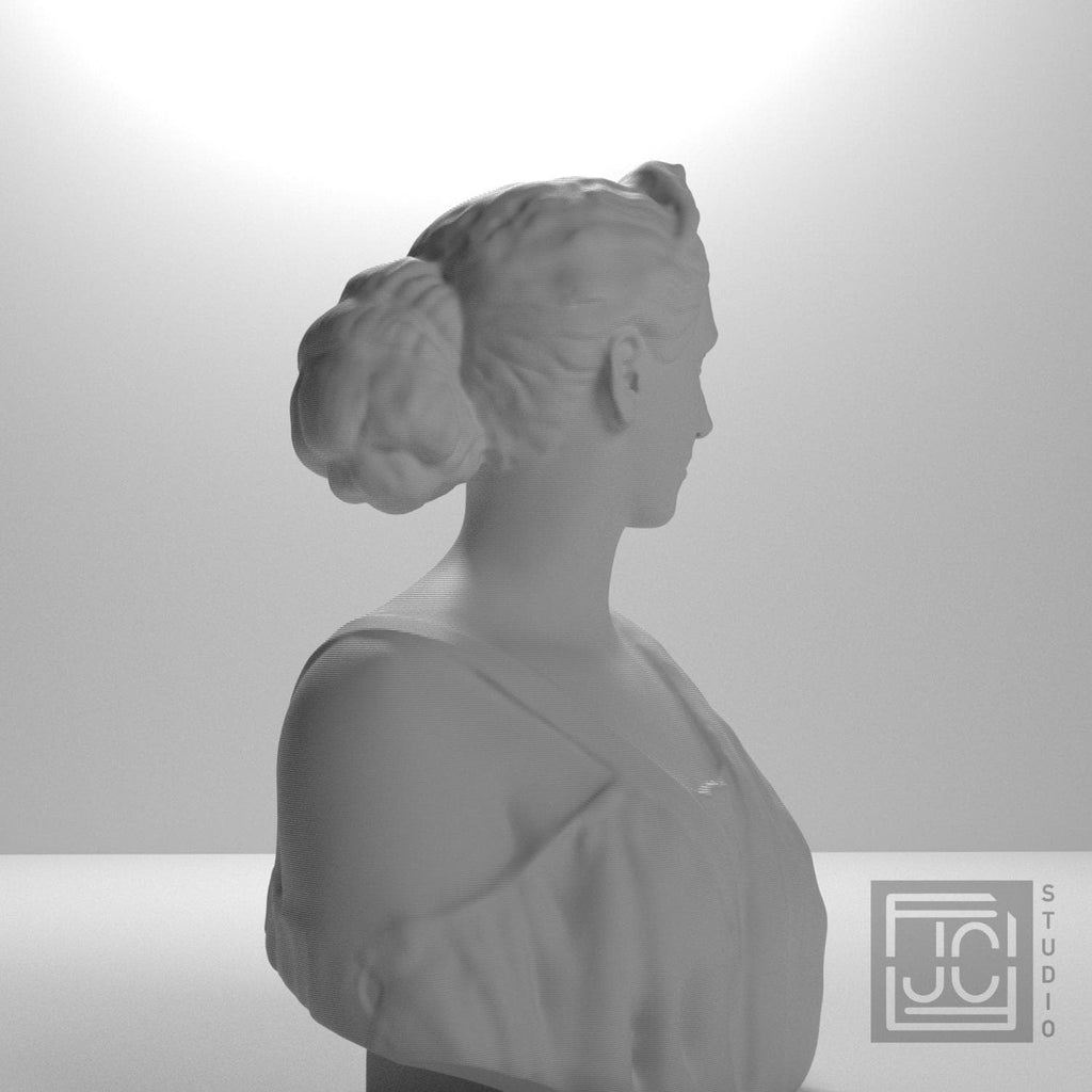 Diana supplemental reference photo 6