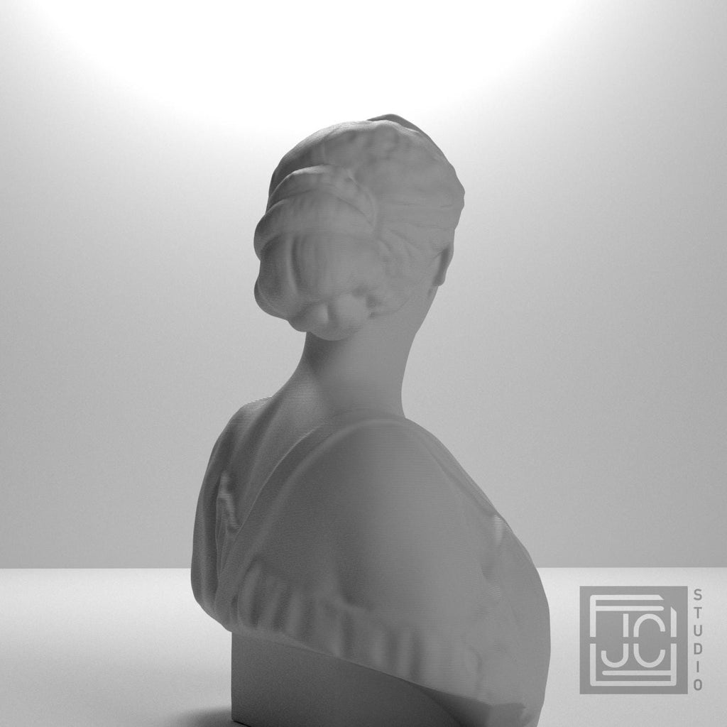 Diana supplemental reference photo 7