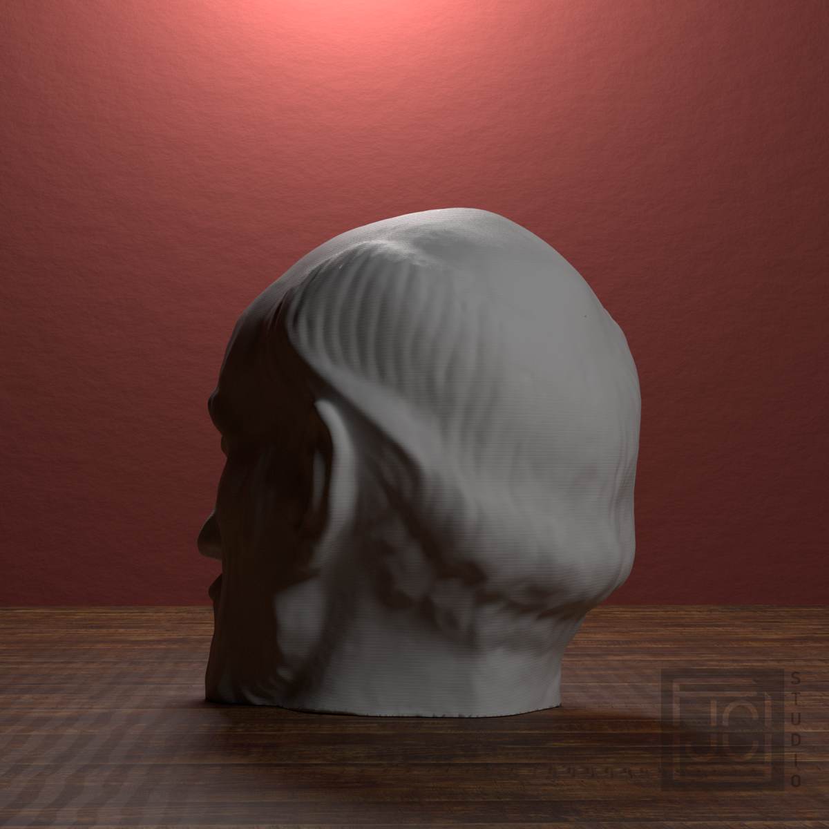 Santiago Ramón y Cajal Portrait Head, view 8